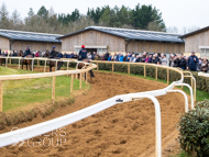 BP210325-40 - Ben Pauling Stable Visit